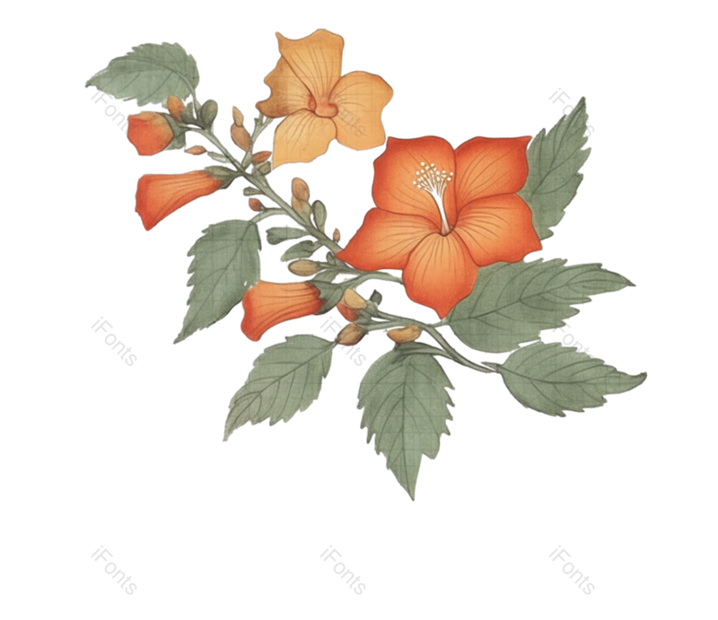 红色的花图片,格子元素,白色背景PNG,植物免抠素材